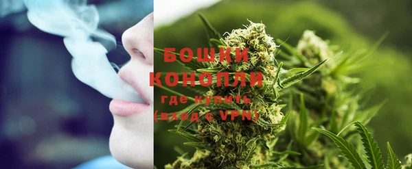 бошки Козельск