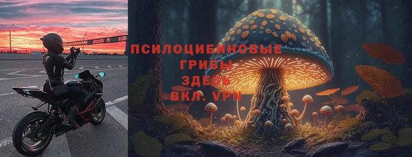 бошки Козельск